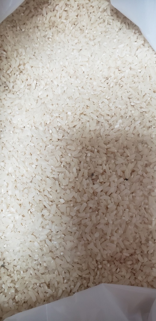 Arroz criollo